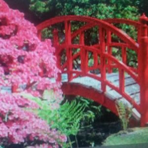 Meet your Posher, Faye